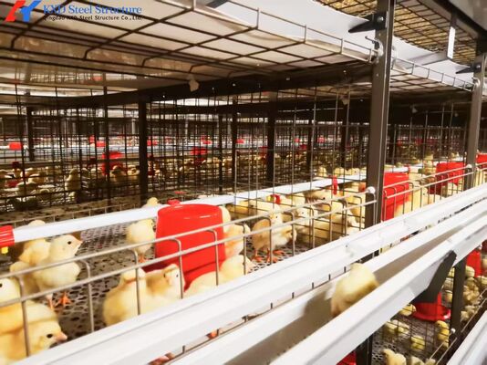 Chicken Poultry Cage H Type Layer Chicken Cage Automatic Feeding System