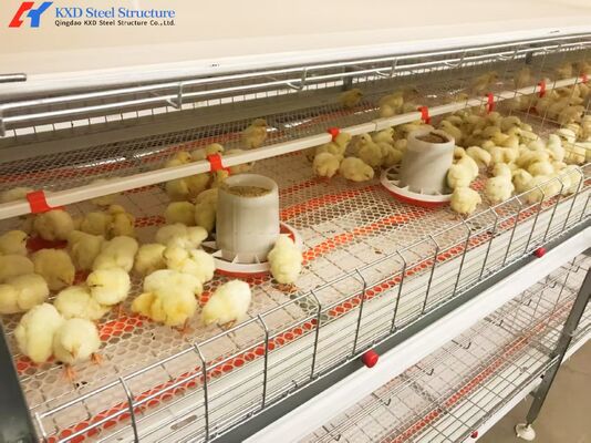 Fully Automatic Poultry Farm Equipment , Galvanized Poultry Farm Layer Cage