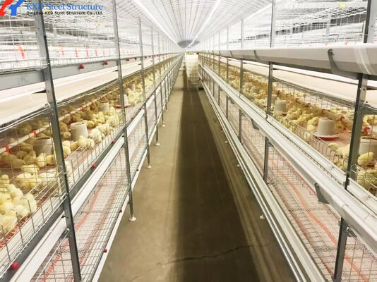 Automatic Battery Egg Layer Cages , Chicken Laying Hens Cage Poultry Farming Equipment