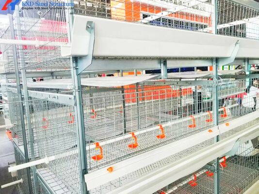 Fully Automated Broiler Chicken Cage System For Philippines Poultry Farming