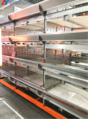 Automatic Poultry Farming Equipment Broiler Chicken Cage Manufacturer