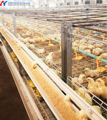 Multifunctional Broiler Chicken Layer Battery Cage Automatic Poultry Farming Cage