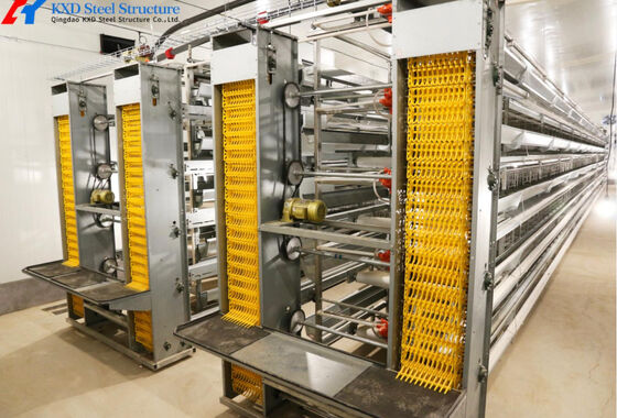 Steel Chicken Layer Cages A Type H Type Automated Battery Cage
