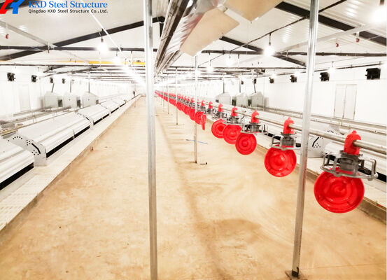 Silo Galvanized Poultry House Equipment Automatic Broiler Chicken Poultry Farm