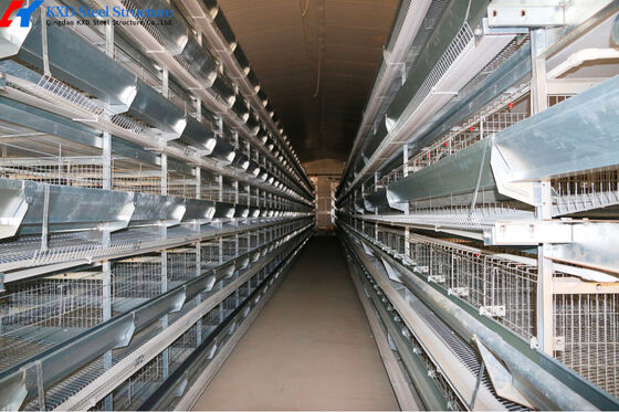 4 Tiers Poultry Battery Cages Customized Automated Poultry Cages For Pakistan Farm