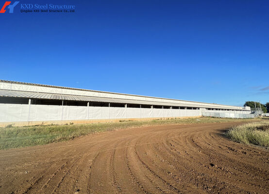 Modern Piggery House Steel Structure Metal Cattle Shed Customized Dimension