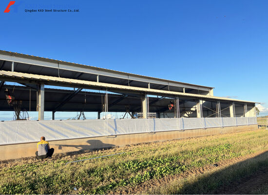 Easy Install Piggery Shed Onsite Installation Steel Structure Piggery House