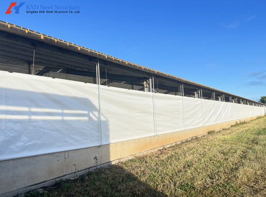 Modern Steel Poultry Farm Shed Construction , Piggery House Steel Shed Buildings
