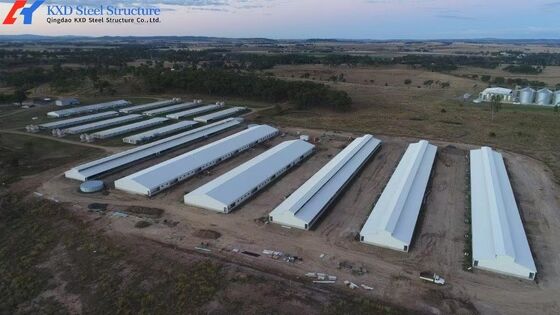 Steel Structure Space Frame Piggery Shed , Cow House Shed Farm Building