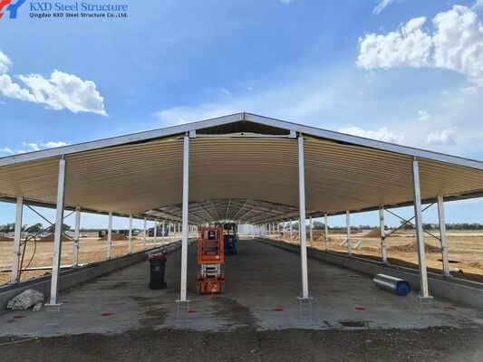 Long Span Steel Structure Piggery House Construction Prefab Poultry Farm Shed Construction