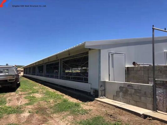Light Steel Frame Shed  , Steel Structure Sow House Pig Farm Equipment