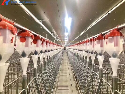 Piggery Equipment Pig Farming Crate System For Pig Shed Farm