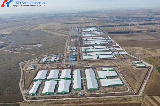 Steel Poultry House Construction Long Span Steel Structure Poultry Farm Building