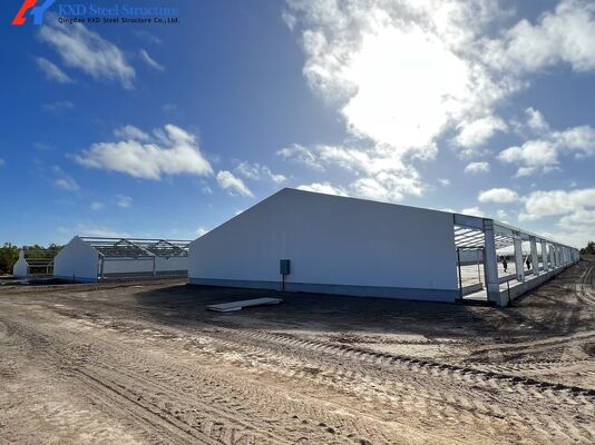 Steel Structure Poultry Farming Shed Prefabricated Light Steel Frame Piggery House