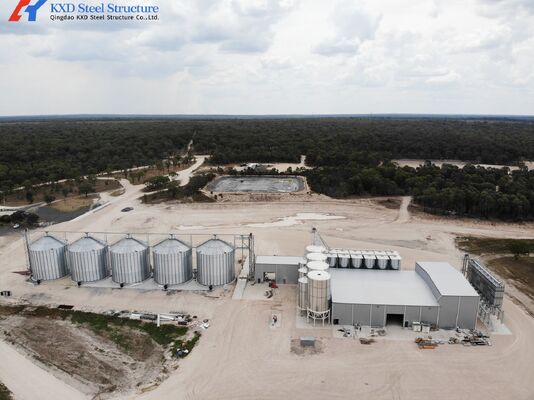 Construction Prefab Steel Structure Piggery Farm House / Steel Structure Cow Shed