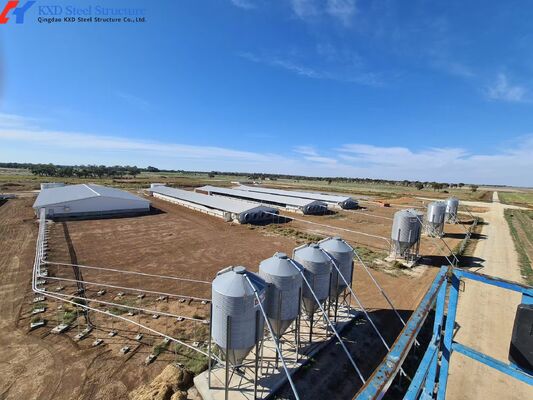KXD Prefabricated Piggery Shed Steel Structure Metal Goat Barn Onsite Installation