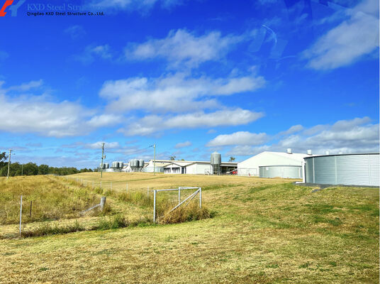 Fast Build Steel Structure Hog House / Hog Shed Customized