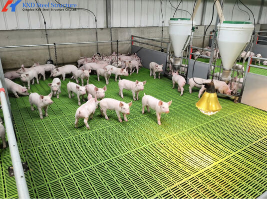 Prefabricated Steel Frame Housing Lightweight Steel Structure Piggery Housing
