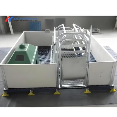 Piggery Equipment Automatic Pig Feeder Stainless Steel Pigs Feeding Trough