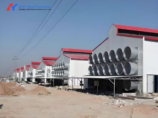 Customized Light Steel Frame House , Galvanized Steel Poultry House