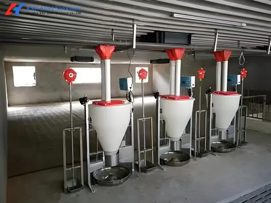 Customized High Strength Pig Feeding System For Livestock Piglet