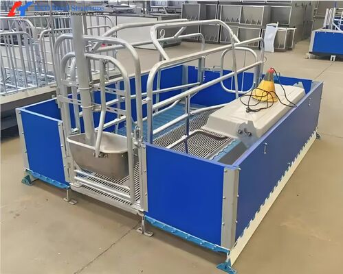 Steel Piggery House Onsite Installation Chicken Shed Construction