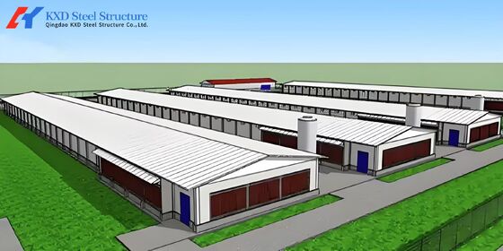 Galvanized Steel Piggery Shed Construction Steel Structure Chicken Shed