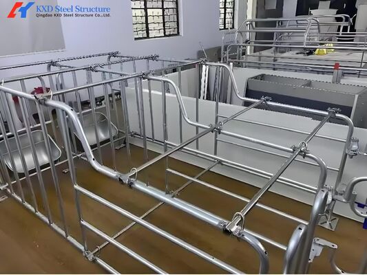 Galvanized Pig Farrowing Crates Piggery Equipment Sow Farrowing Bed
