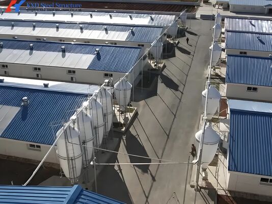 Onsite Installation Piggery Shed Steel Structure Poultry Farming Shed For Livestock Piglet