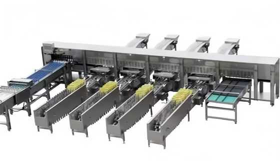 Stainless Steel Poultry Chicken Egg Washing Machine Salted Duck Egg Cleaning Machine