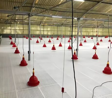 KXD Broiler Poultry Equipment Automatic Poultry Farm Plastic Slatted Flooring