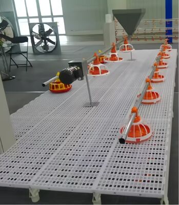 Plastic Automated Poultry Feeder Drinker  ,  Full Automatic Animal Feeder