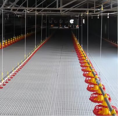 Fully Automatic Animal Feeders Plastic Chicken Feeders And Drinkers