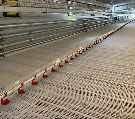 Broiler Farm Plastic Slatted Dung Leaking Board Poultry Slat Floor For Chicken Chick Duck Goose