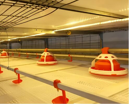 Modern Automatic Broiler Chicken Farming Equipment H Type Poultry Broiler Cage