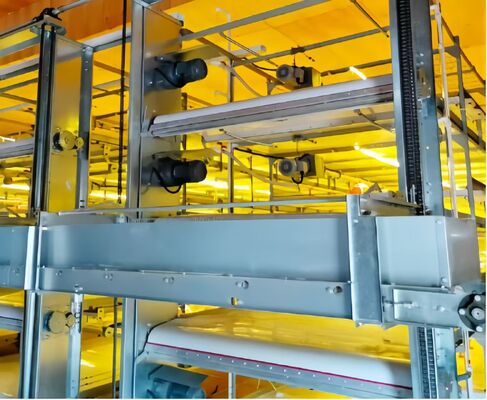 4 Tiers Layer Battery Cage Poultry Farming Battery Cage System