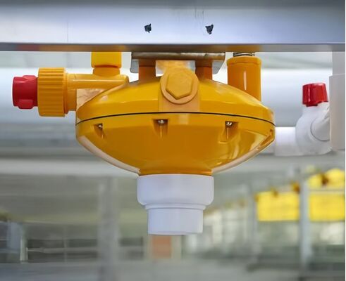 Chickens Prefabricated Portal Frame Steel Structure Poultry Shed Chicken Farm Building