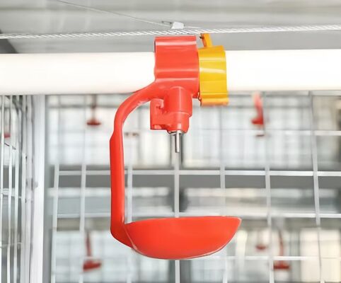 Customized Plastic Broiler Cage Equipment Automatic Poultry Breeding Equipment