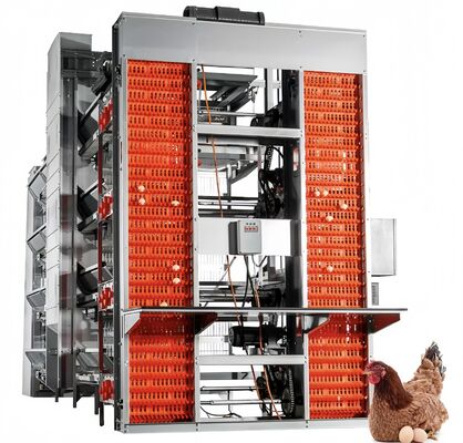 A Type Battery Layer Chicken Cage Automatic Chicken Poultry Farming Equipment
