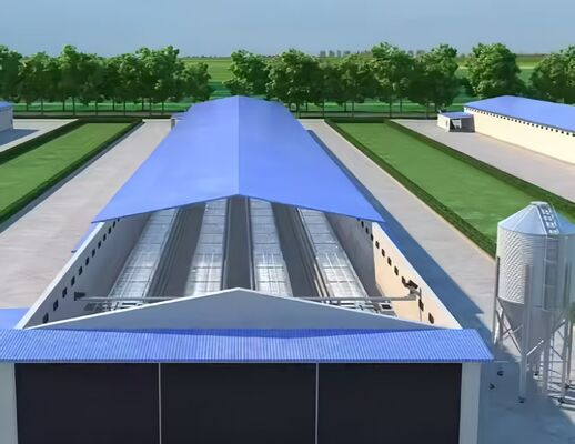 Automatic Poultry Broiler House Steel Structure Chicken Poultry Farm Equipment