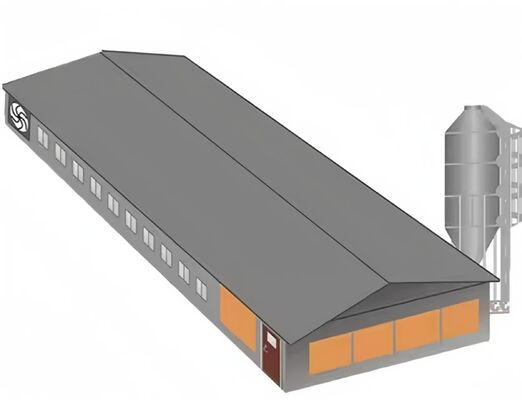 Steel Chicken House Equipment  Easy Install With Automatic Feeding System