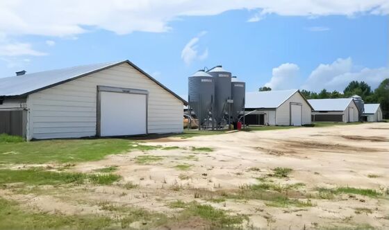 Galvanized Steel Chicken Farm Layer Poultry Farming Equipment