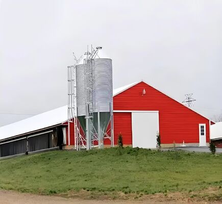 Q235B Q355B Carbon Steel Poultry House Prefabricated Steel Structure Farm House