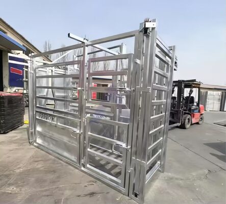 Easy Install Metal Cattle Shed Onsite Installation Steel Animal Husbandry Equipment