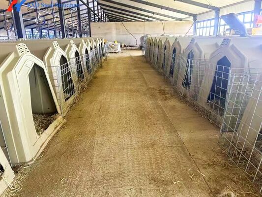 Anti Rust Galvanized Steel Cattle Yard Panels For Farm Fencing