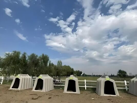 Easy Assembly Cattle Sheds Steel Structure Cow Farming Shed Weather Resistant