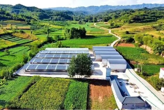 Livestock Shelter Dairy Farm Barn Custom Steel Structure Cow Shed For Live Cattle