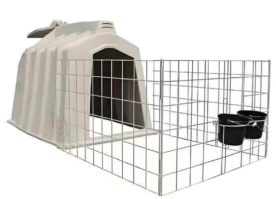 Modern Cattle Sheds Steel Structure Cow Barn And Cow Shed Customized