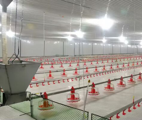 Easy Cleaning Slatted Floor Broiler House Plastic Slate Floor For Poultry Farm