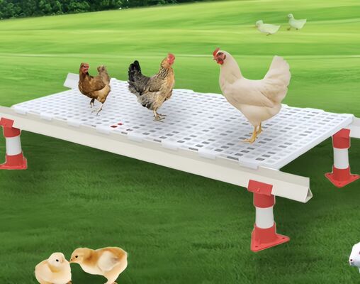 Stackable Chicken House Floor Slats , Plastic Slat Flooring For Poultry